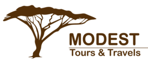 Modest Safaris