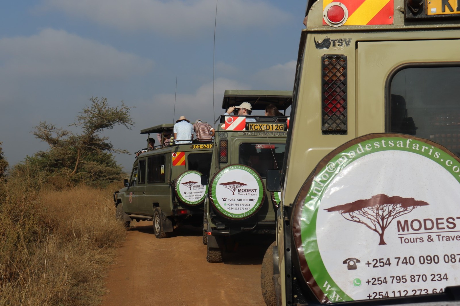 About Modest Safaris