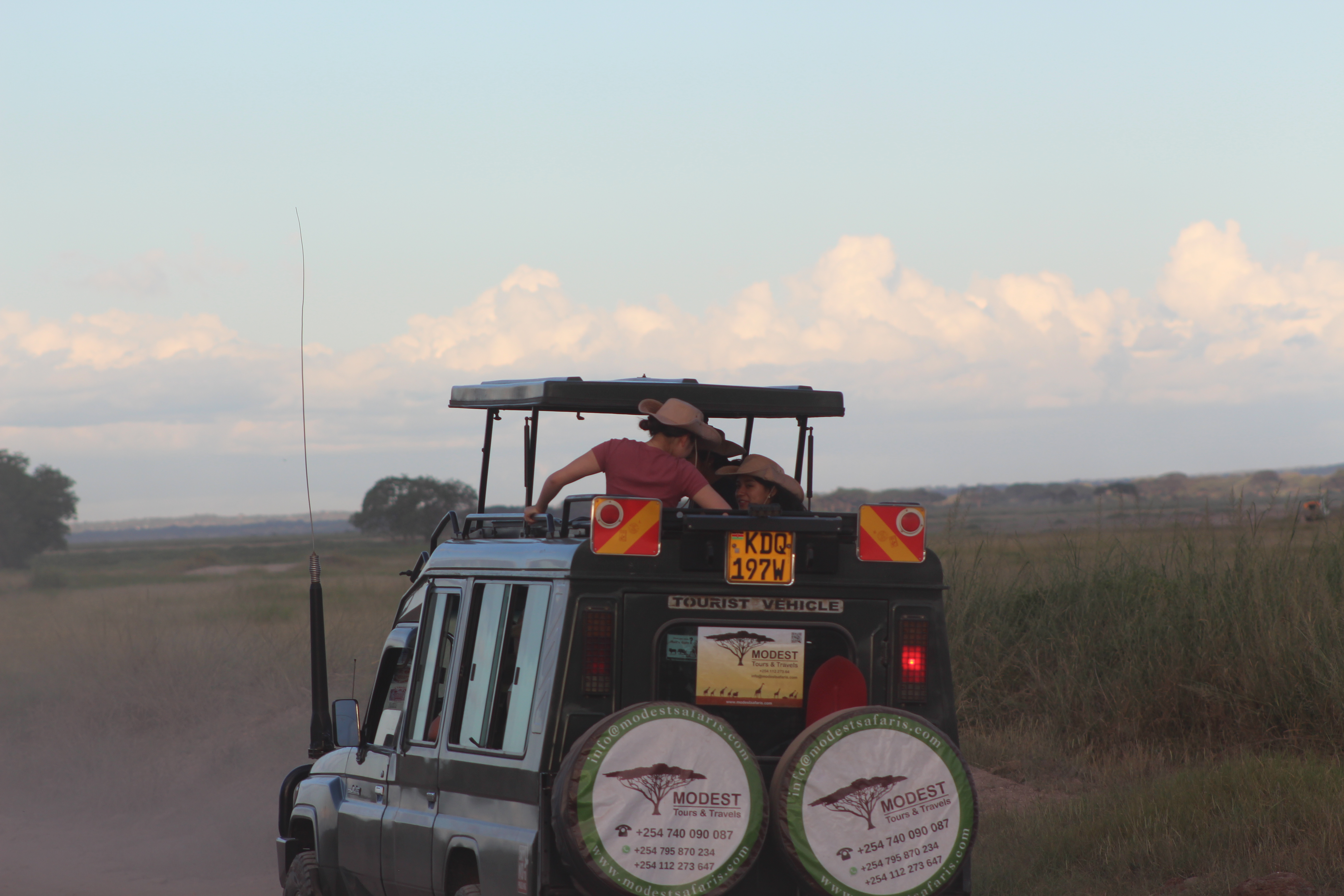 Safari Journey